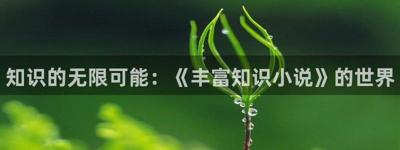 免费小说阅读的