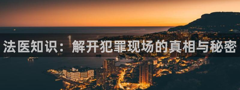 33小说阅读网